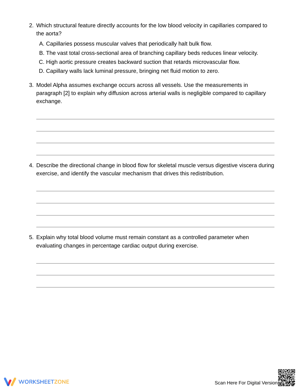Essential Circulation Models Worksheet | Grade 8 Science - Page 3
