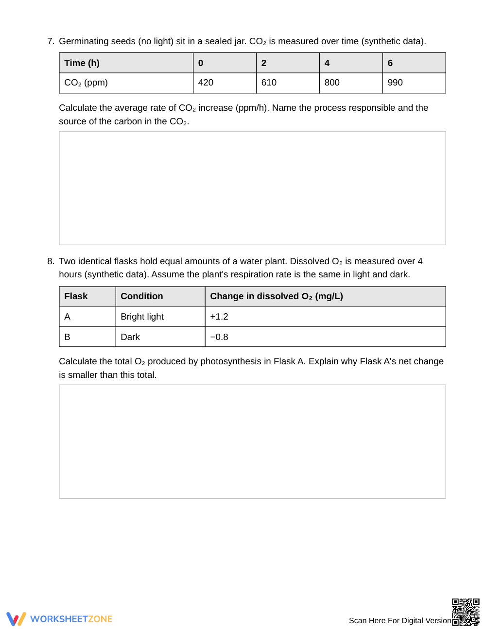 Ready Matter Inputs & Outputs Worksheet | Grade 9 Biology - Page 3