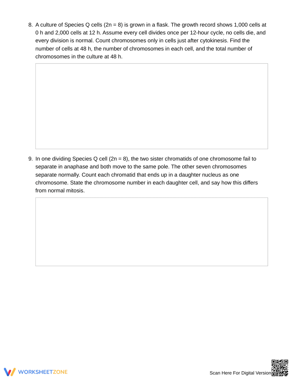 Printable Mitosis Chromosomes Worksheet | Grade 9 Biology - Page 4