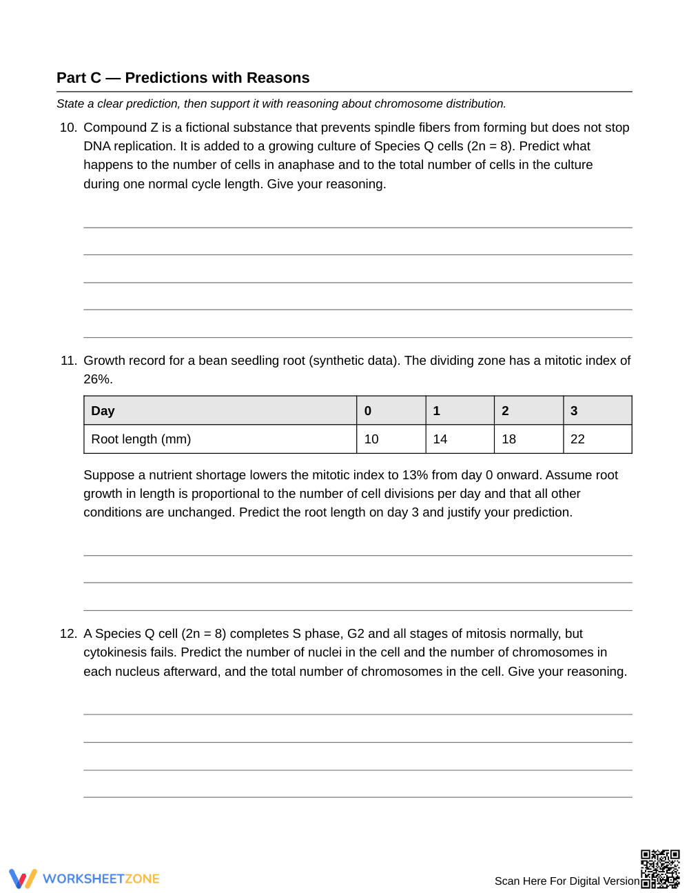 Printable Mitosis Chromosomes Worksheet | Grade 9 Biology - Page 5