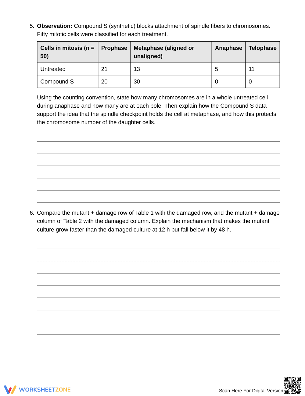 Printable Checkpoint Explanation Worksheet | Grade 9 Biology - Page 4