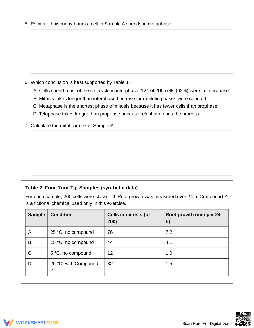 Printable Cell Cycle & Mitosis Worksheet | Grade 9 Biology - Page 3