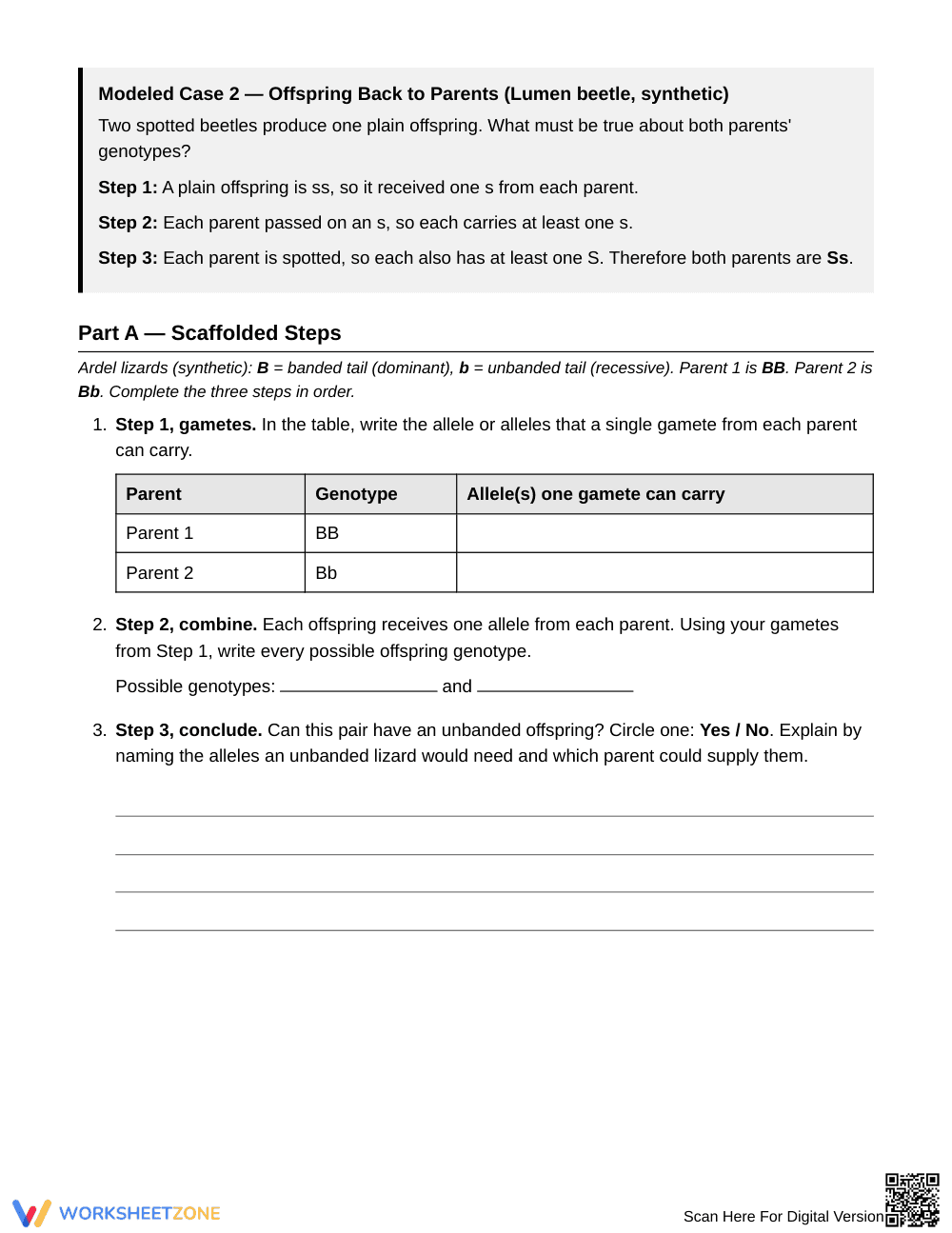 Printable Tracing Alleles Worksheet | Grade 9 Biology - Page 2