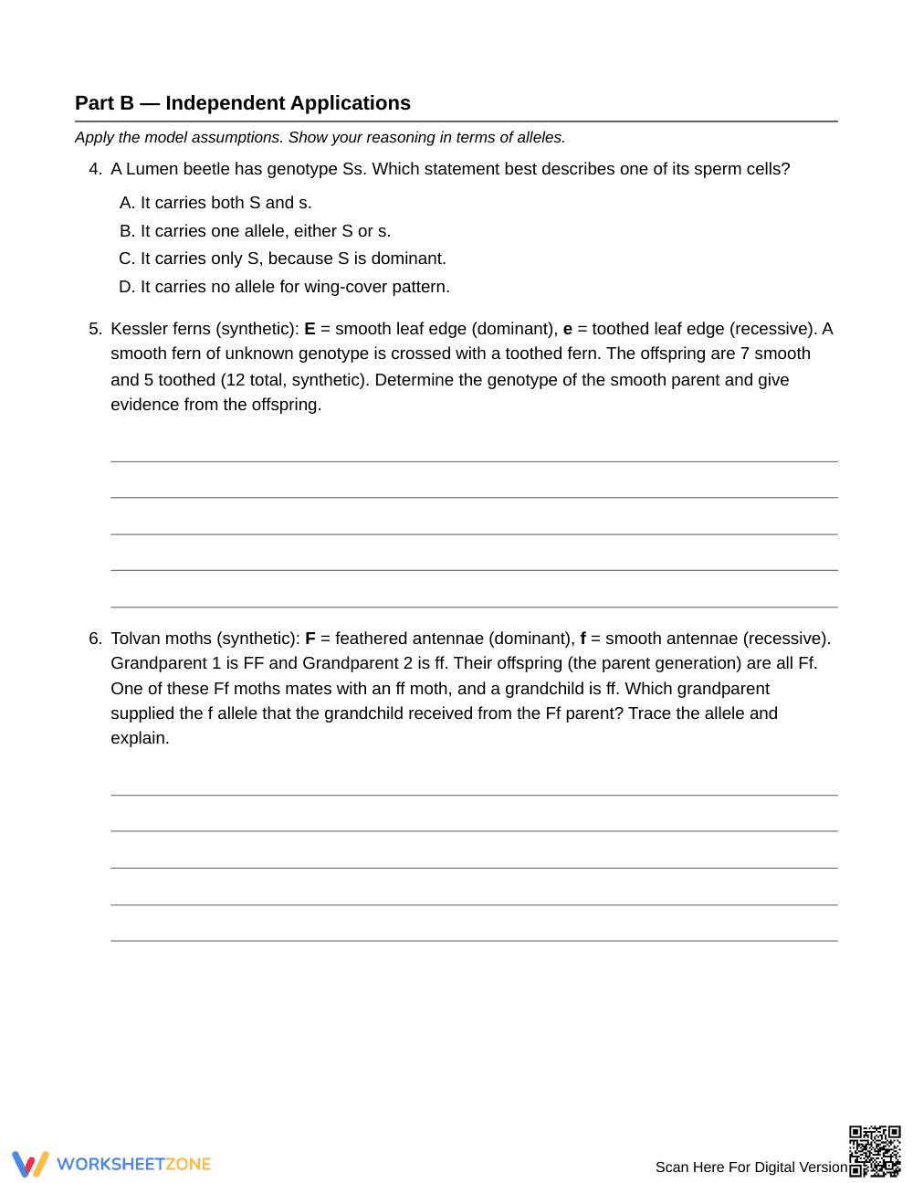 Printable Tracing Alleles Worksheet | Grade 9 Biology - Page 3