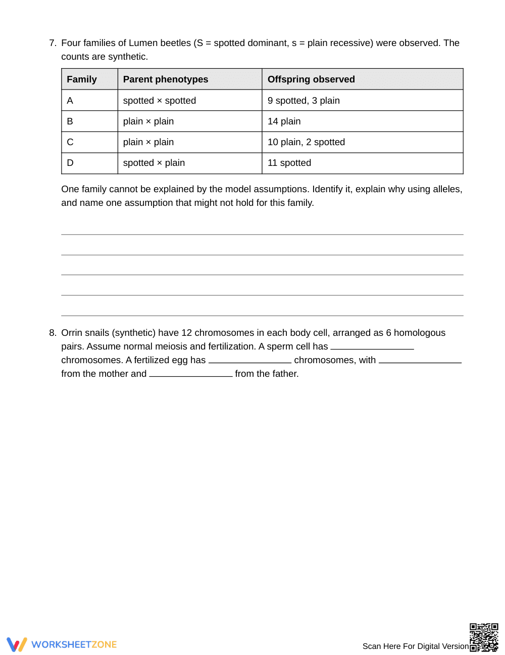 Printable Tracing Alleles Worksheet | Grade 9 Biology - Page 4