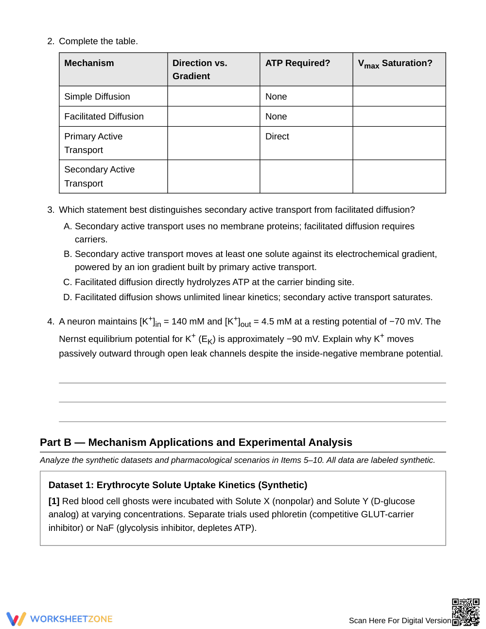 Complete Membrane Transport Worksheet | Grade 10 Biology - Page 2