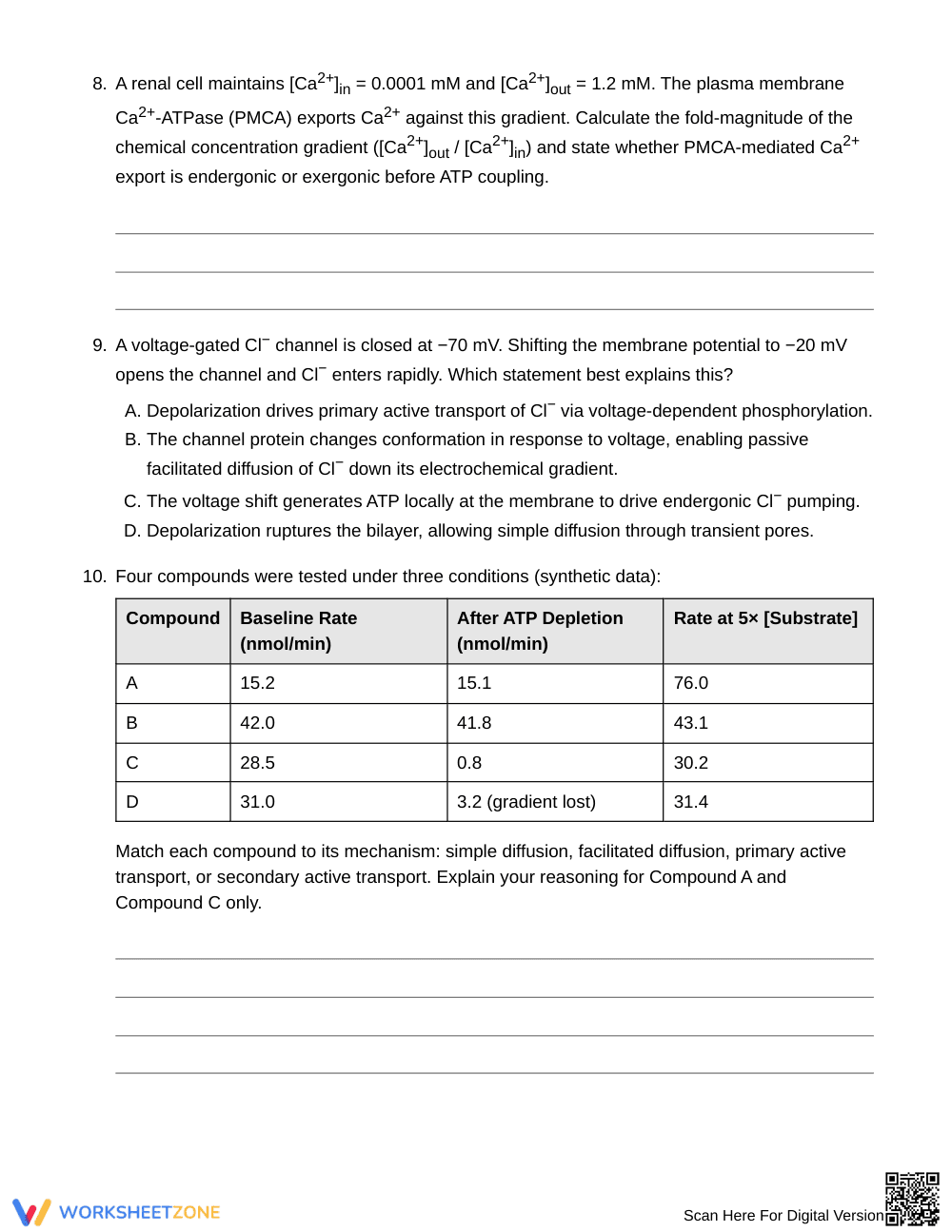 Complete Membrane Transport Worksheet | Grade 10 Biology - Page 4