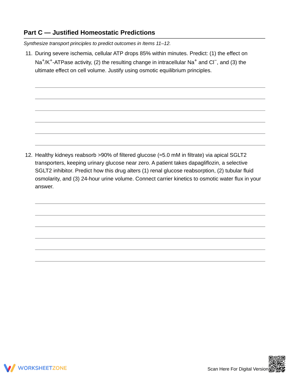 Complete Membrane Transport Worksheet | Grade 10 Biology - Page 5