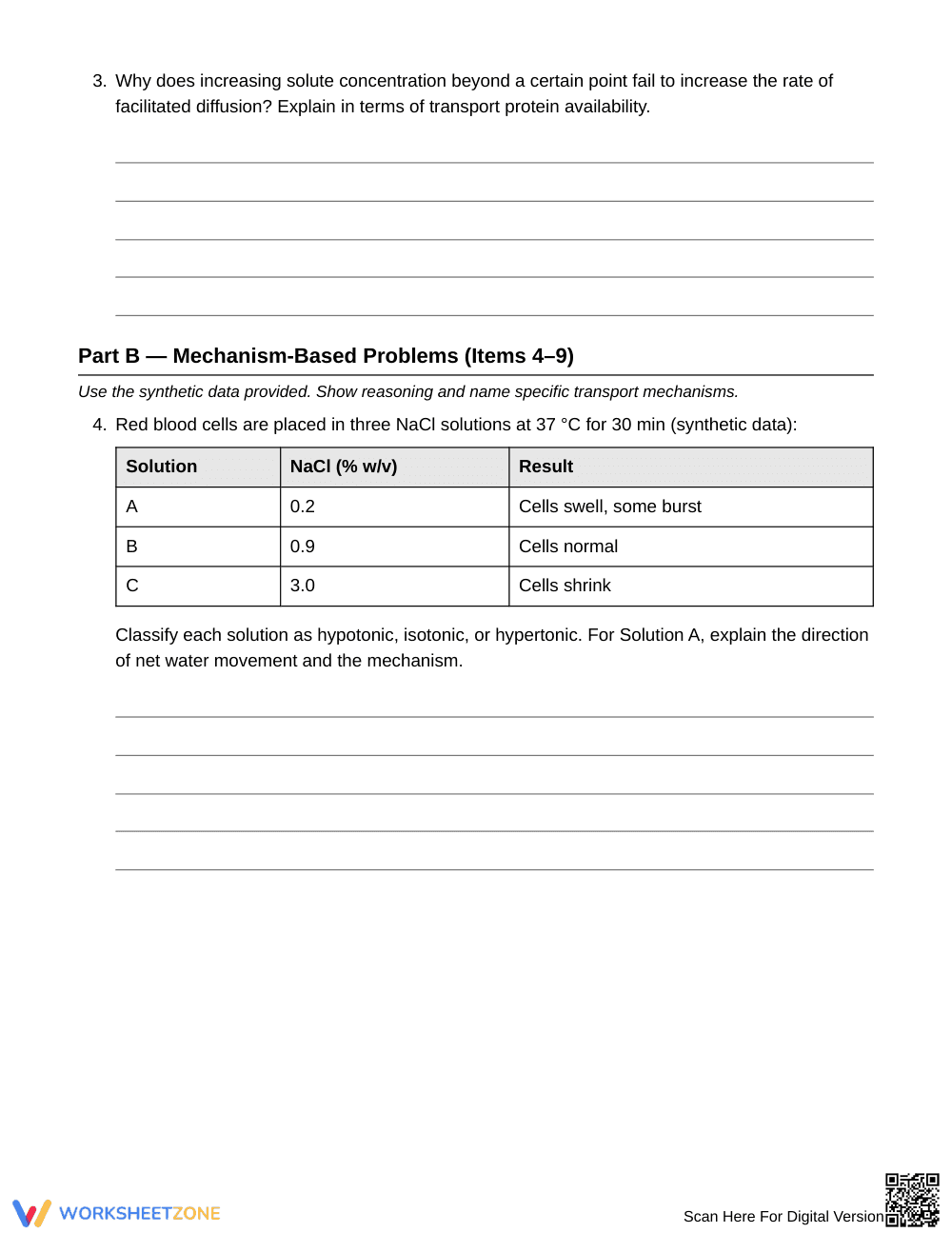 Complete Gradients & ATP Dependence Worksheet | Grade 10 - Page 2