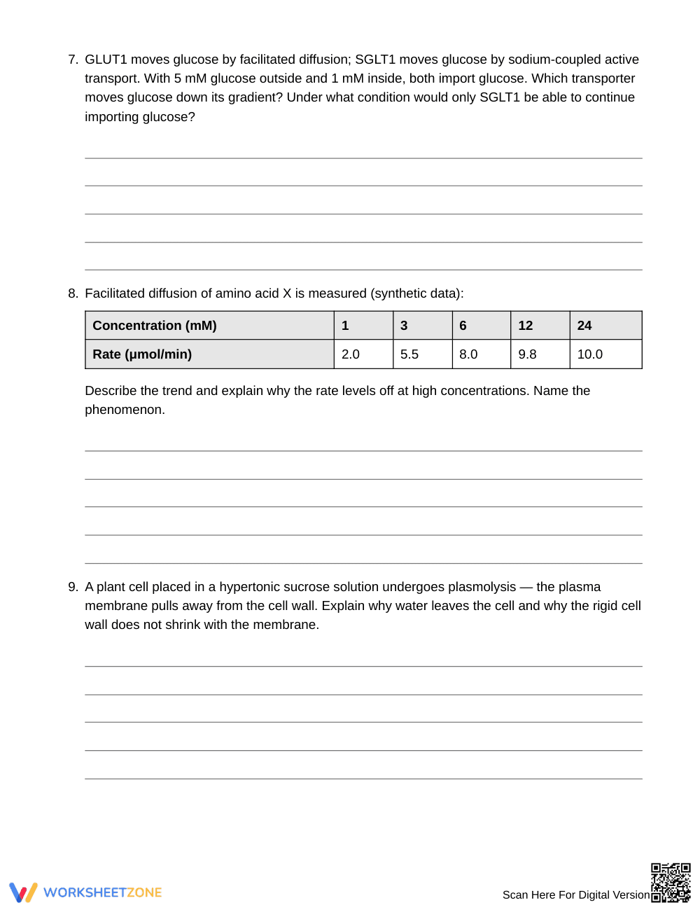 Complete Gradients & ATP Dependence Worksheet | Grade 10 - Page 4