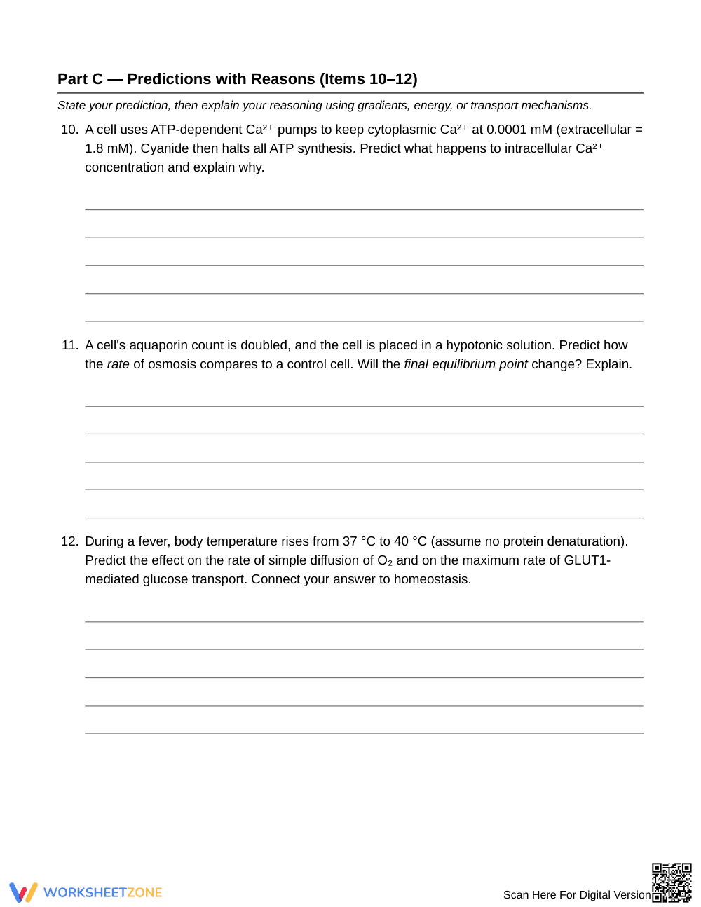 Complete Gradients & ATP Dependence Worksheet | Grade 10 - Page 5