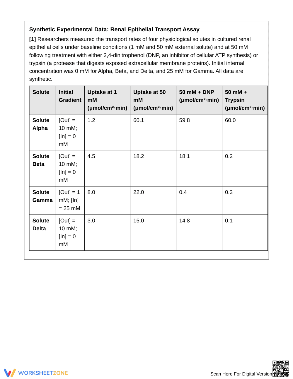 Proven Permeability Evidence Worksheet | Grade 10 Biology - Page 2