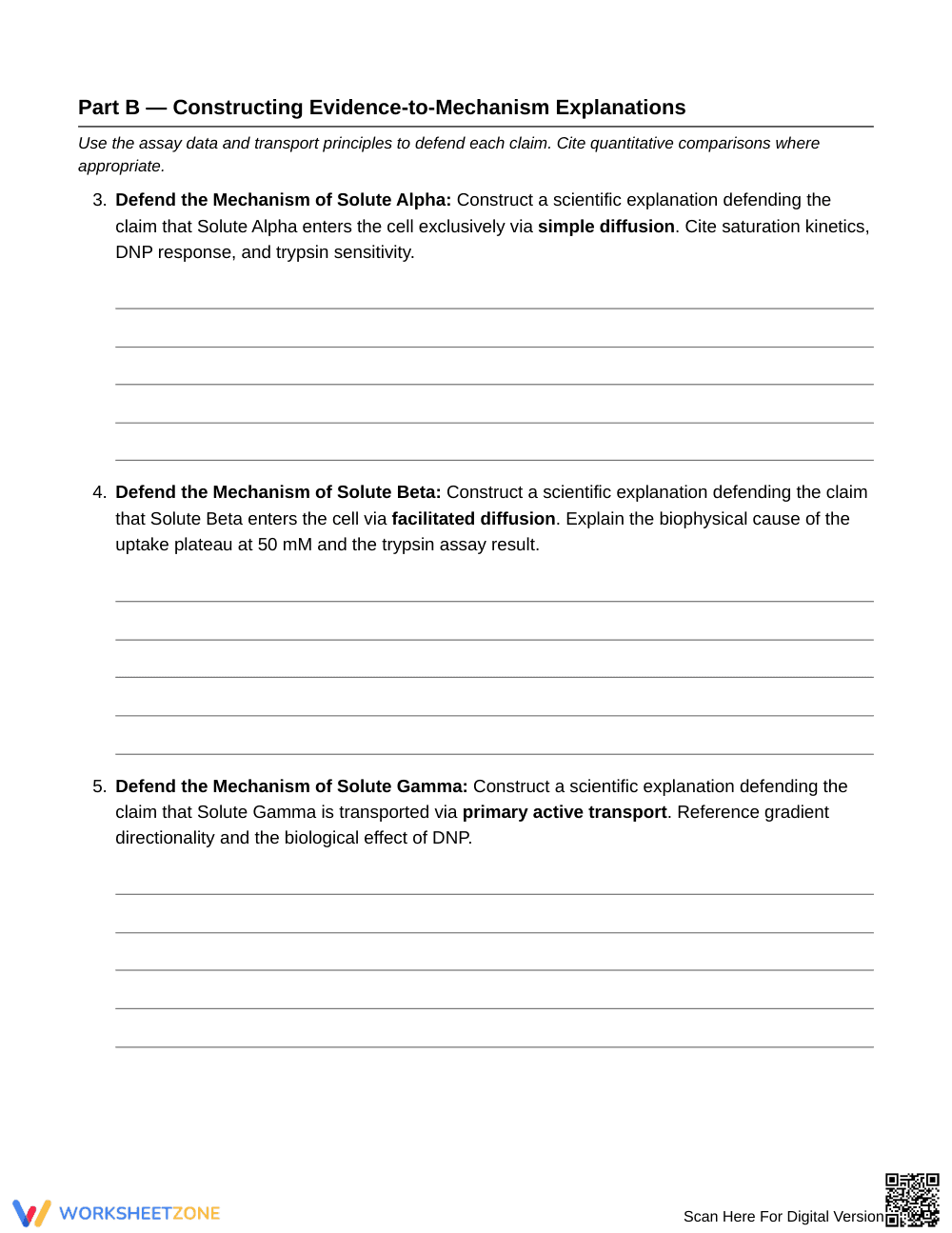 Proven Permeability Evidence Worksheet | Grade 10 Biology - Page 3