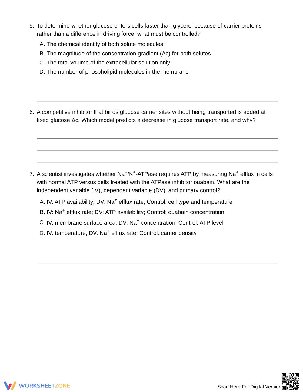 Complete Carrier vs Diffusion Worksheet | Grade 10 Biology - Page 3