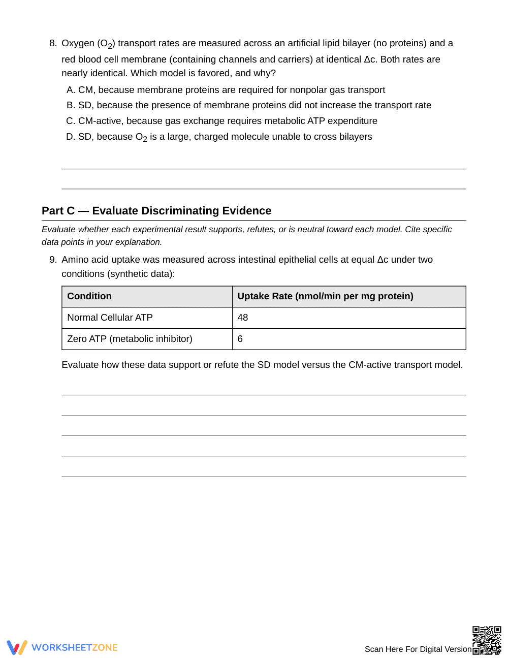 Complete Carrier vs Diffusion Worksheet | Grade 10 Biology - Page 4