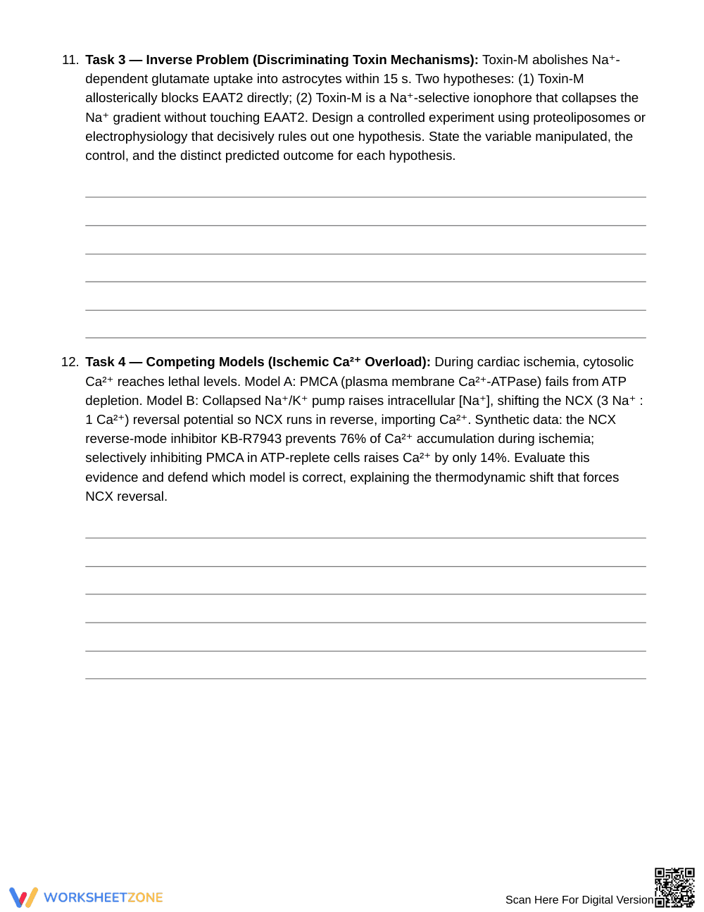 Complete Coupled Membrane Transport Worksheet | Grade 10 - Page 5
