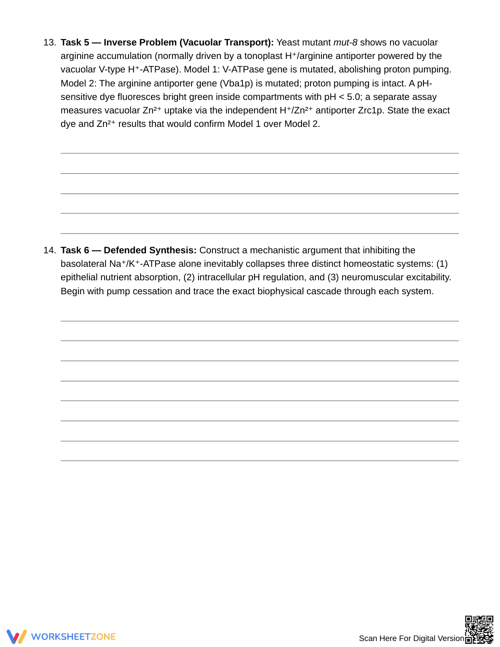 Complete Coupled Membrane Transport Worksheet | Grade 10 - Page 6