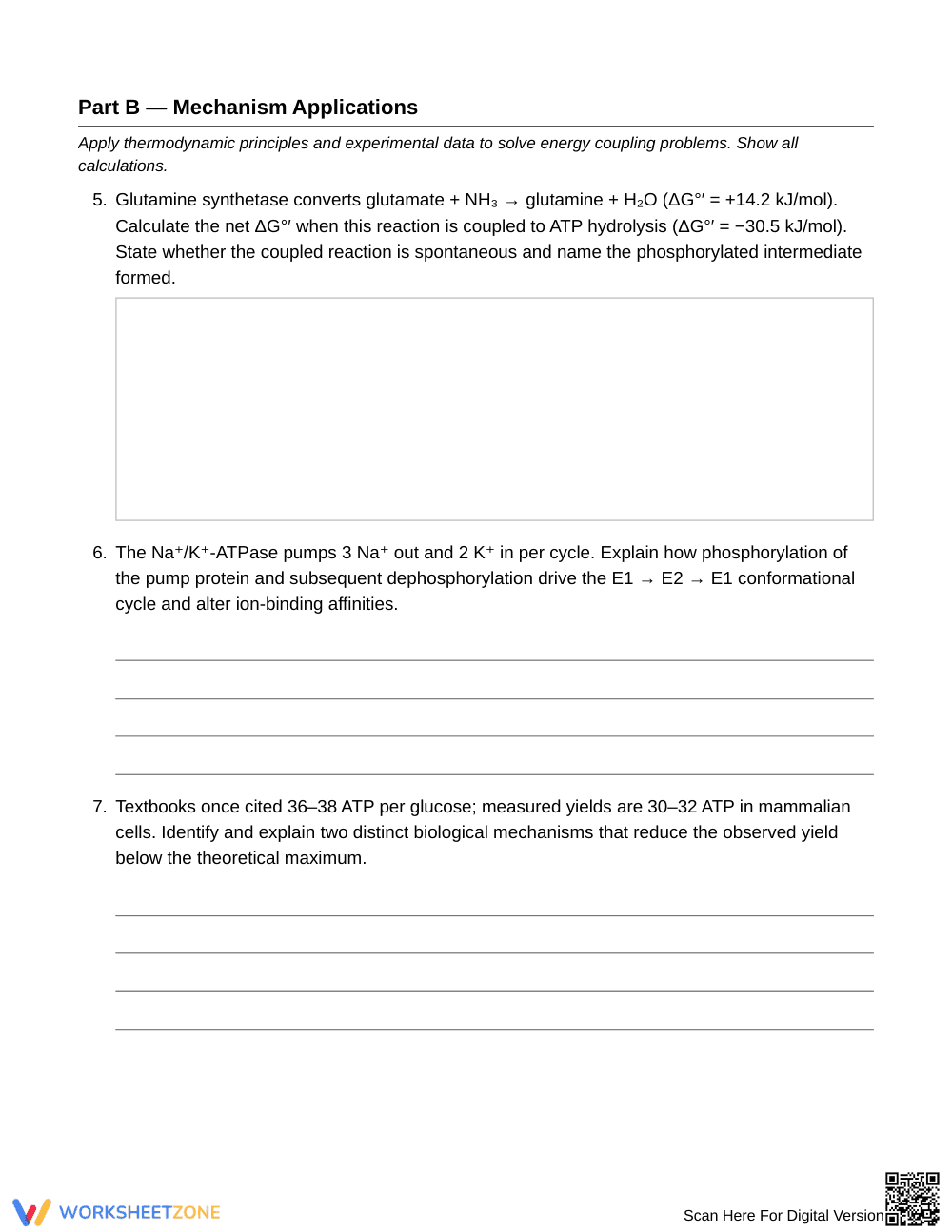 Printable ATP Cycling & Energy Coupling Worksheet - Page 3