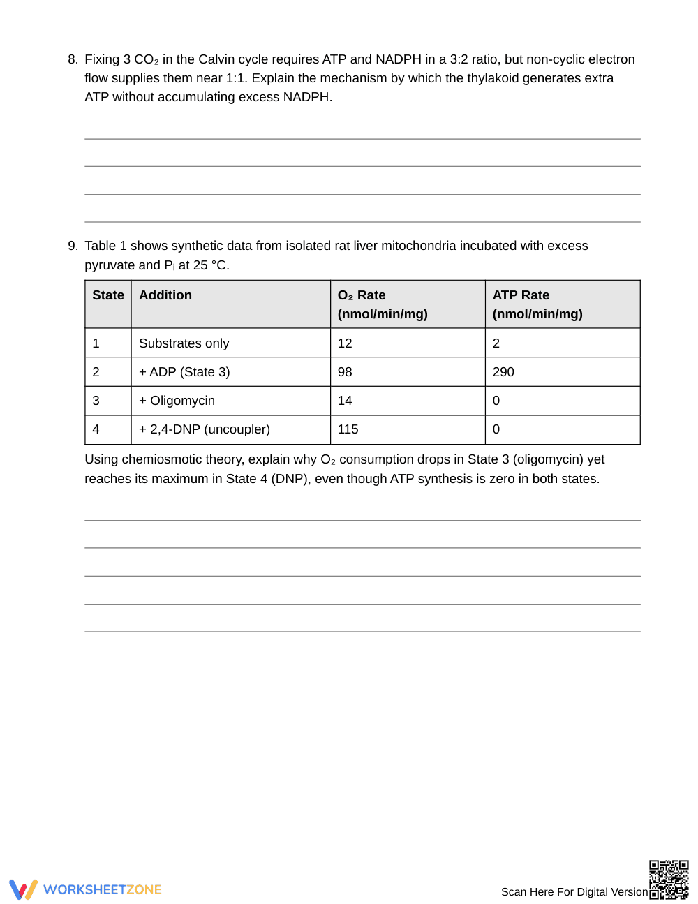 Printable ATP Cycling & Energy Coupling Worksheet - Page 4