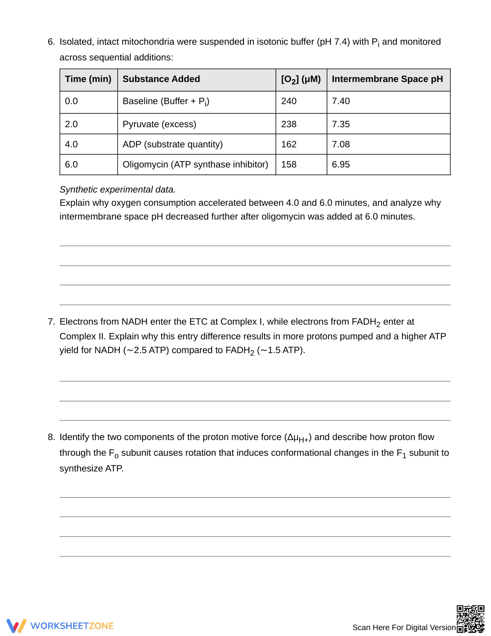 Complete Cellular Respiration Worksheet | Grade 10 - Page 3