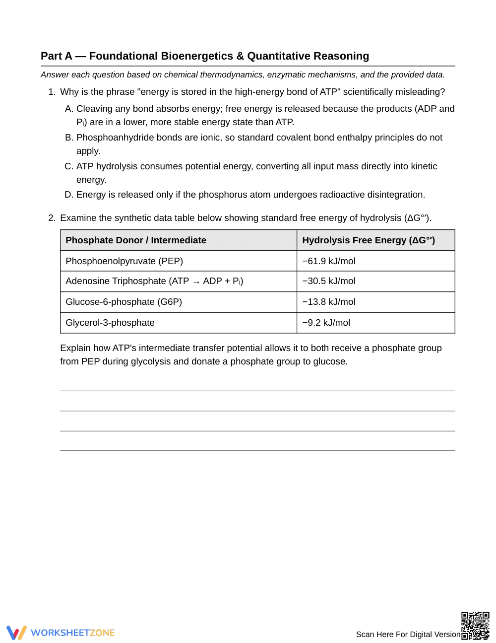 Complete ATP Bond Energy Worksheet | Grade 10 Biology - Page 2