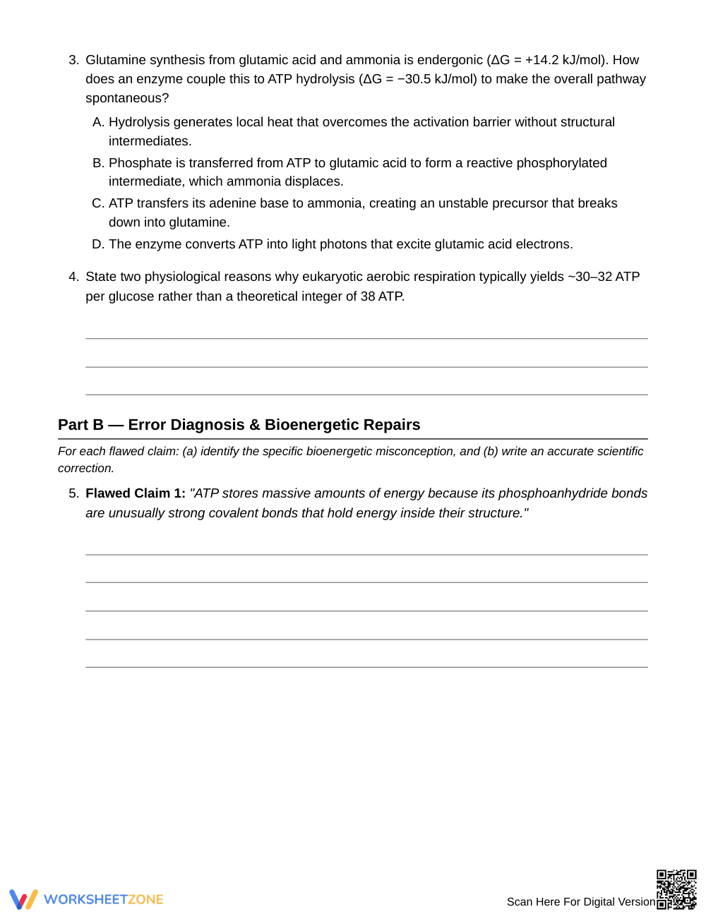 Complete ATP Bond Energy Worksheet | Grade 10 Biology - Page 3