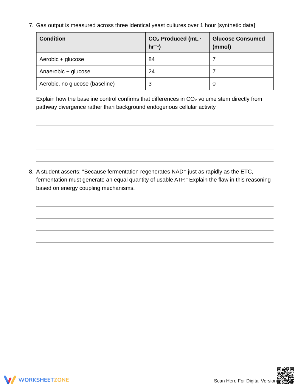 Ready Aerobic & Fermentation Worksheet | Grade 10 Biology - Page 4