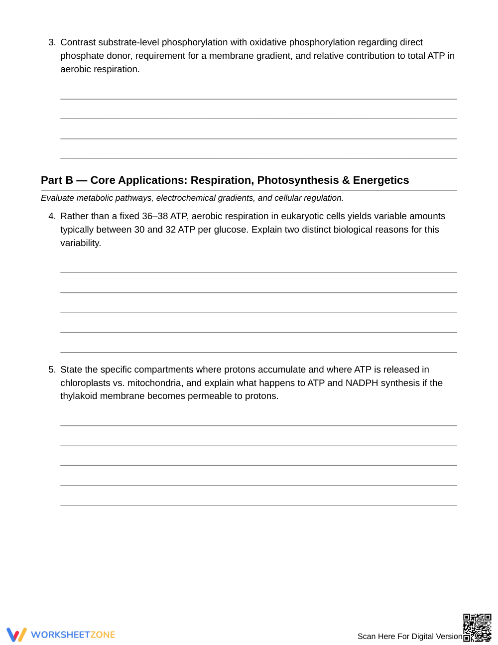 Complete Cellular Energy & ATP Worksheet | Grade 10 Biology - Page 2