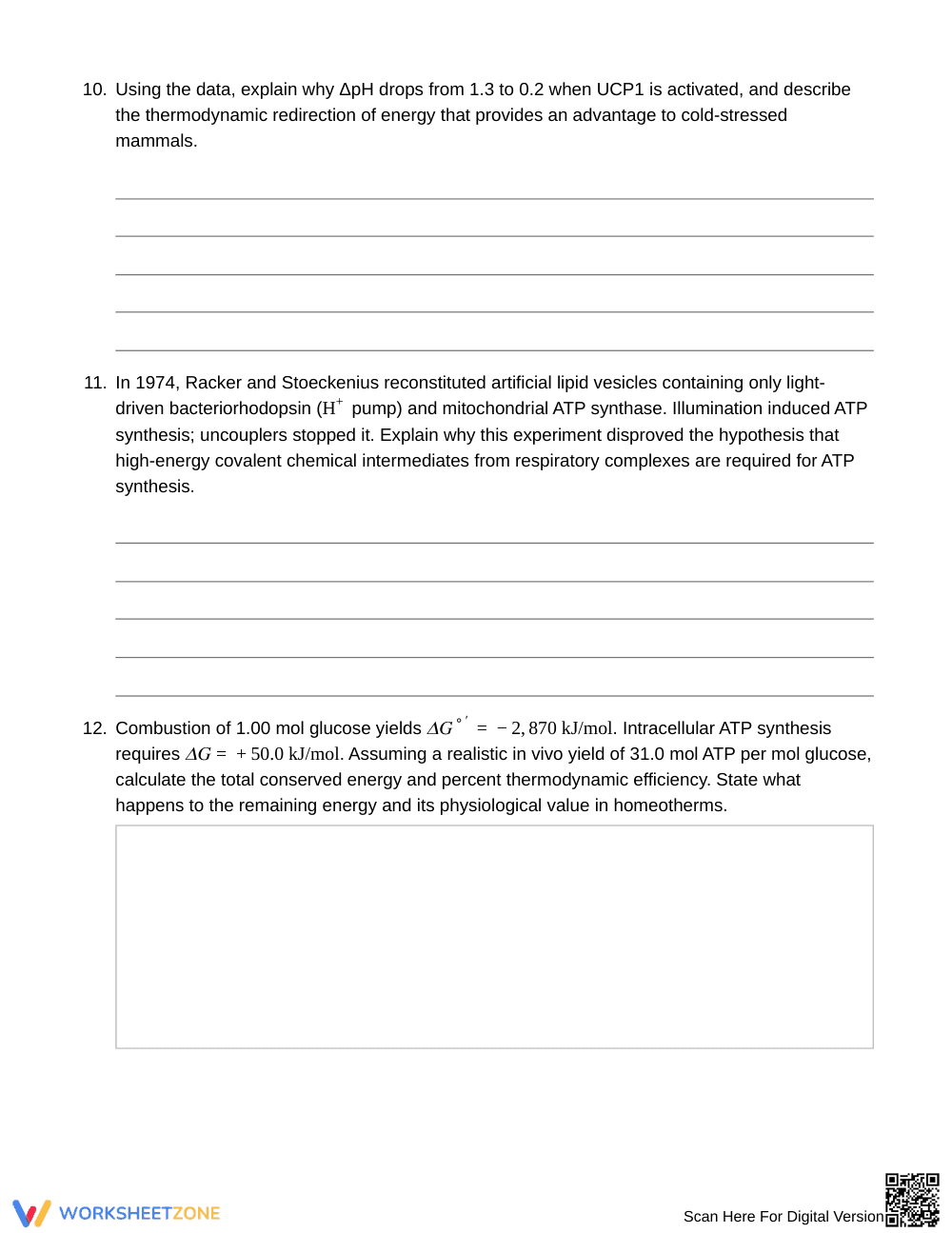 Complete Cellular Energy & ATP Worksheet | Grade 10 Biology - Page 5