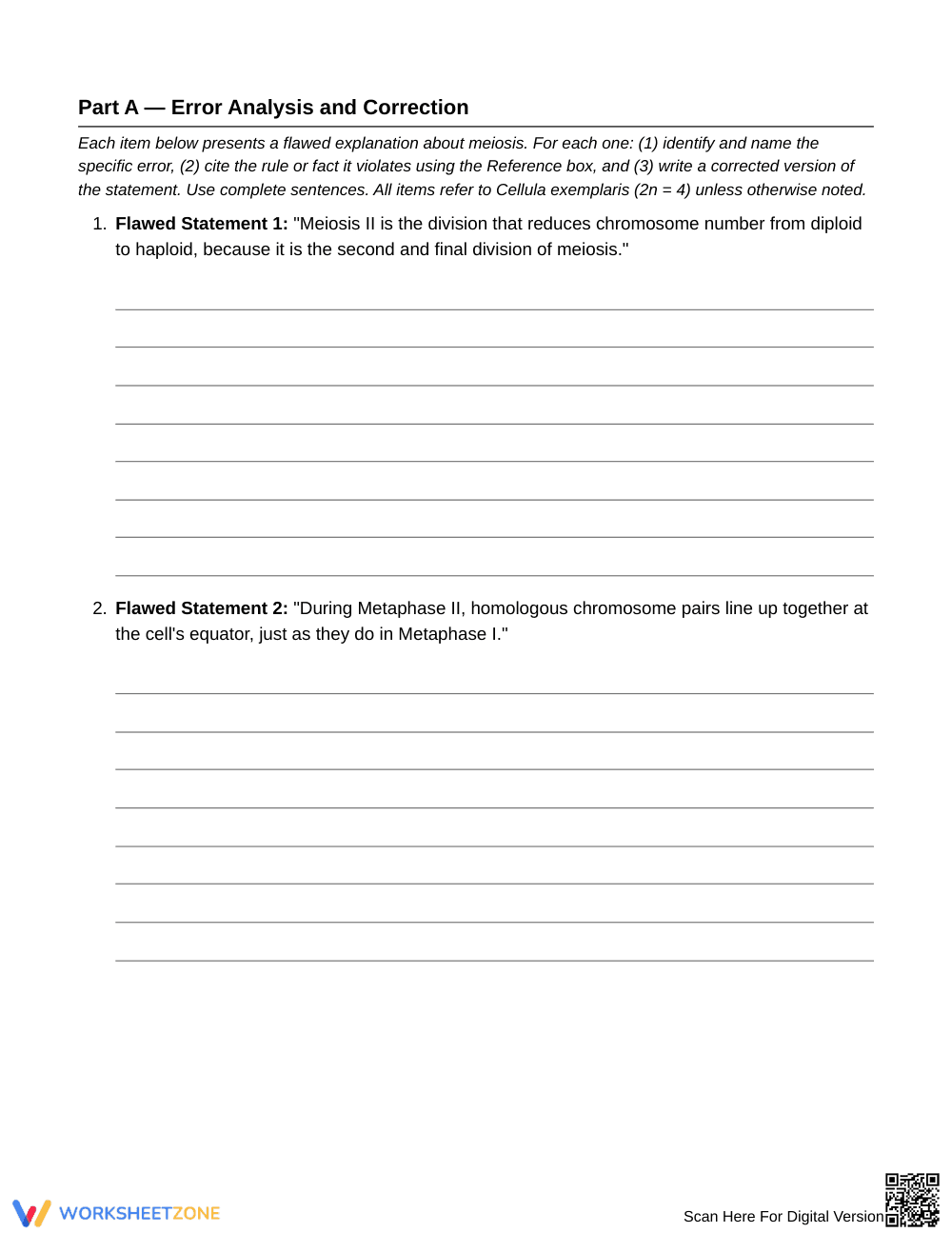 Essential Meiosis I and II Worksheet | Grade 10 Biology - Page 3