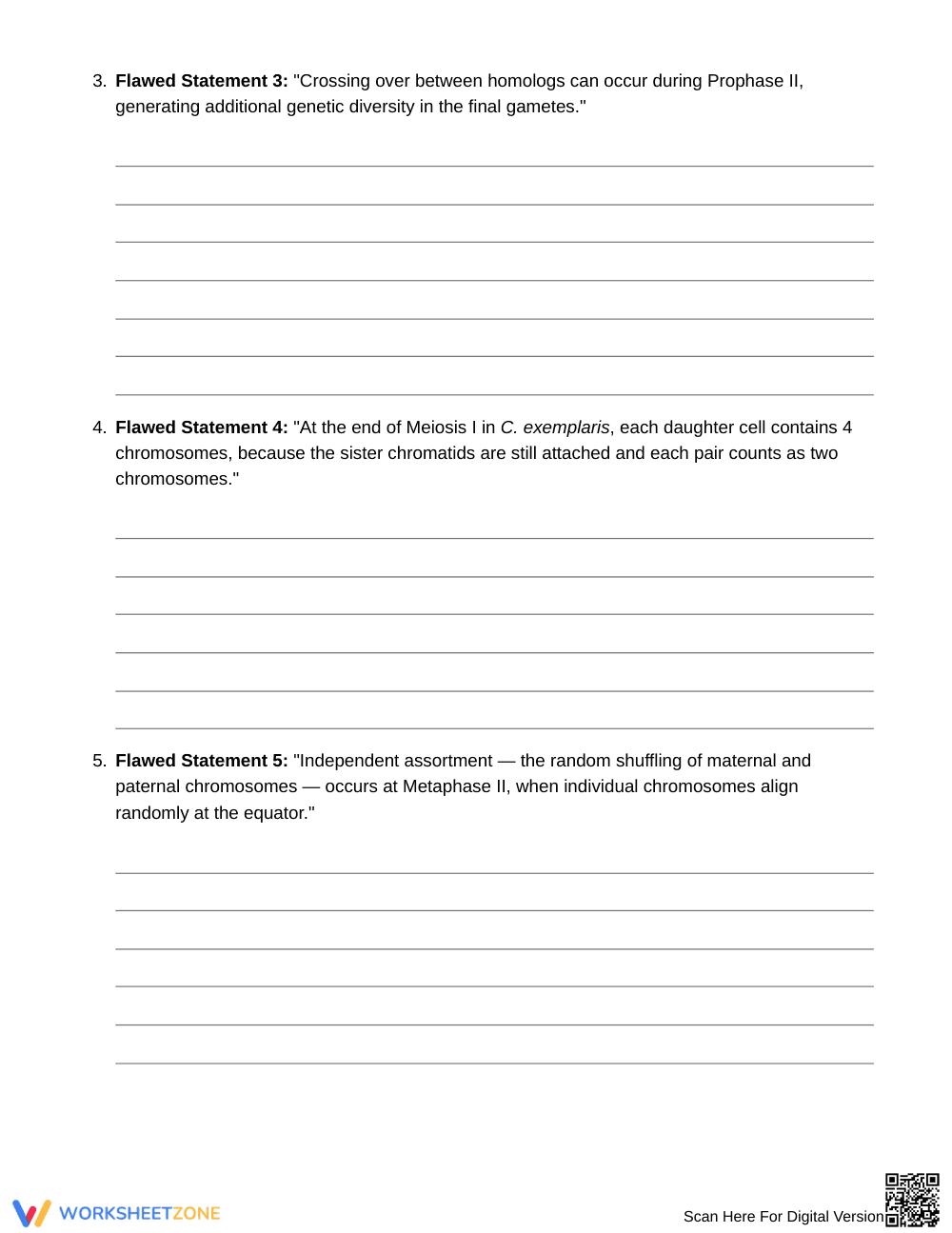 Essential Meiosis I and II Worksheet | Grade 10 Biology - Page 4