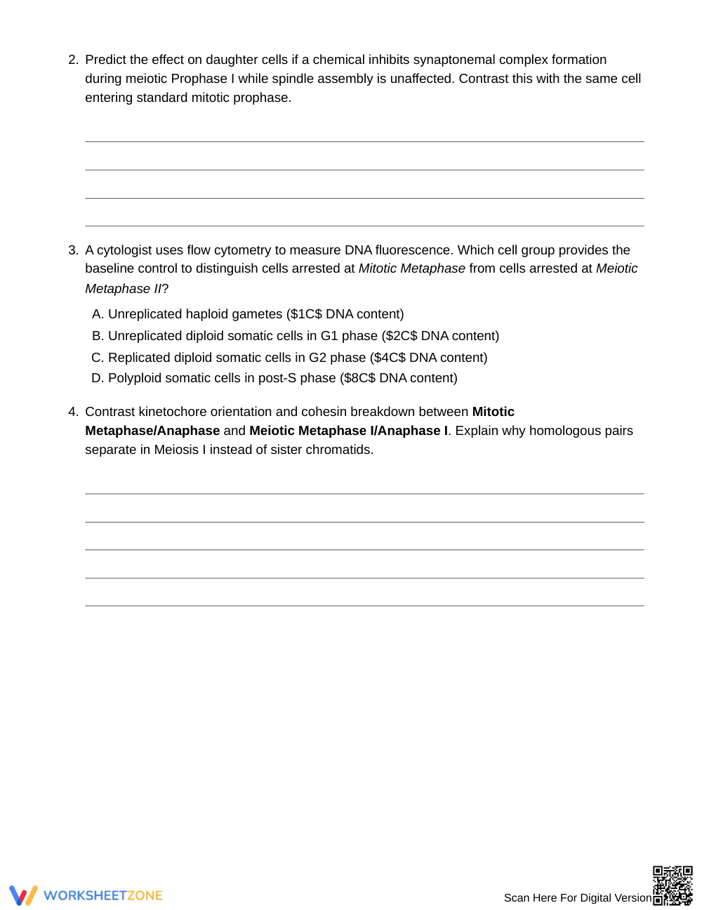 Essential Mitosis vs Meiosis Worksheet | Grade 10 Biology - Page 2