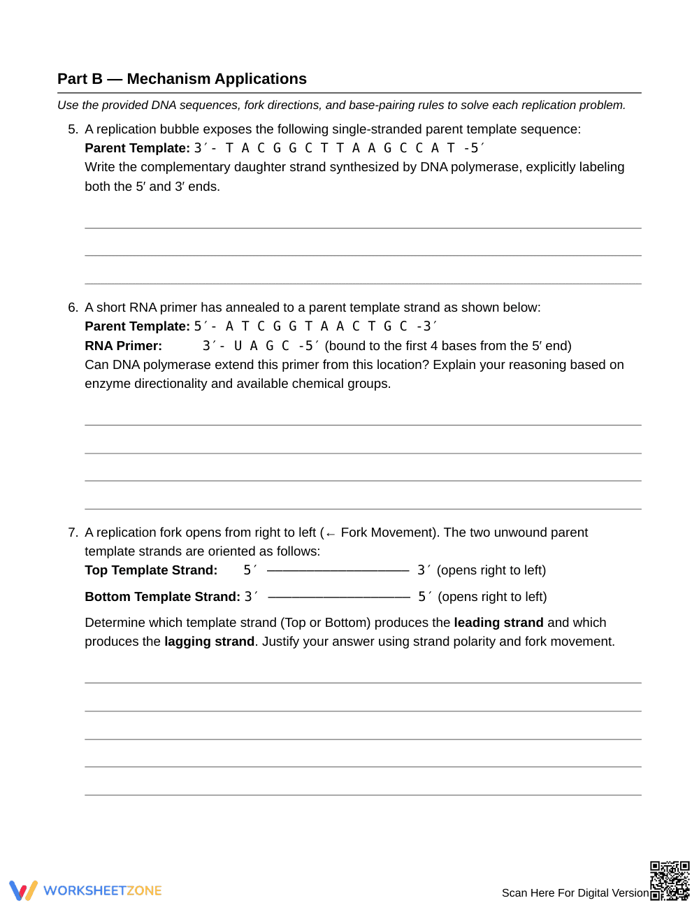 Complete DNA Strand Direction Worksheet | Grade 10 Biology - Page 3