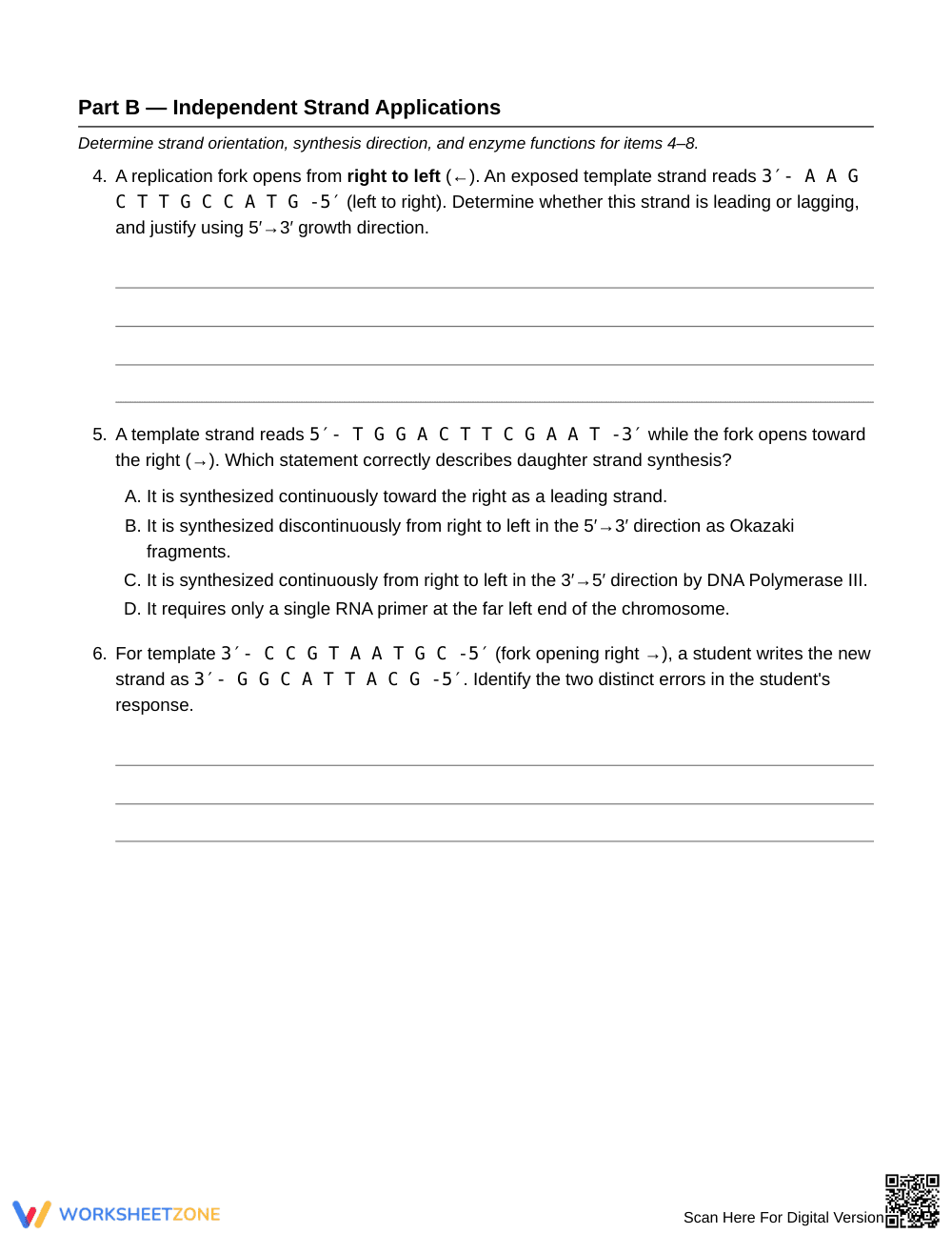 Complete DNA Strand Synthesis Worksheet | Grade 10 Biology - Page 3