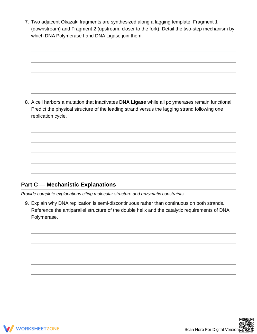 Complete DNA Strand Synthesis Worksheet | Grade 10 Biology - Page 4