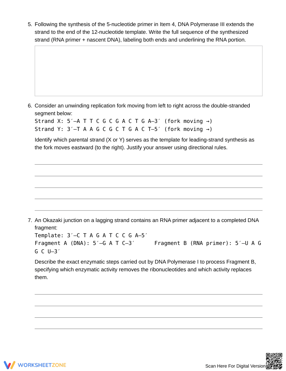 Proven Enzyme Roles at a Fork Worksheet | Grade 10 Biology - Page 3