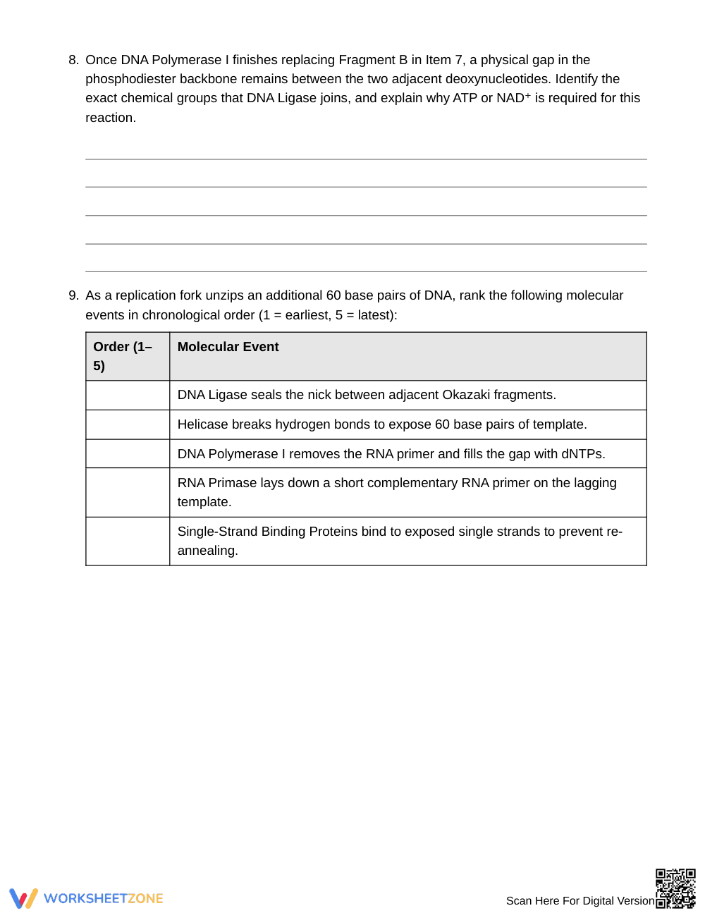 Proven Enzyme Roles at a Fork Worksheet | Grade 10 Biology - Page 4