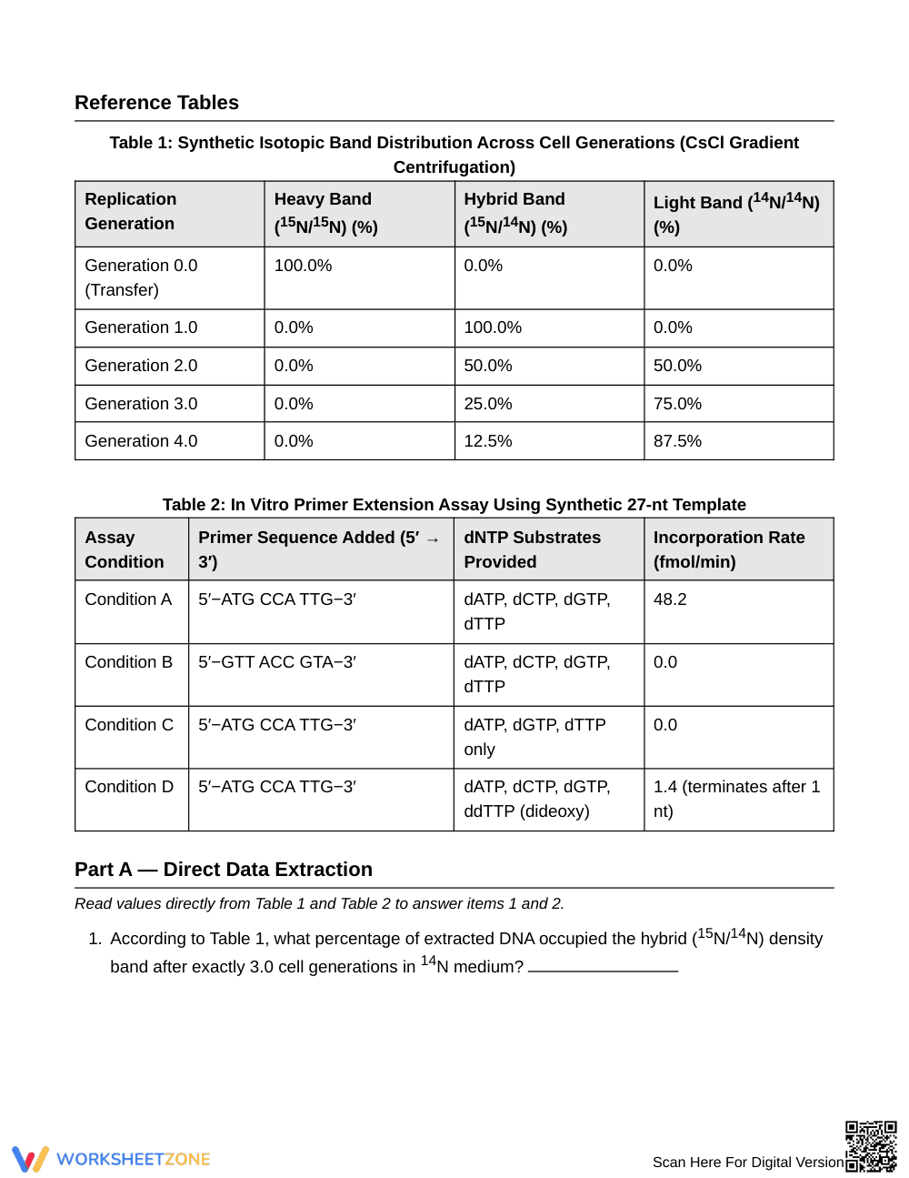 Essential Labeled-DNA Evidence Worksheet | Grade 10 Biology - Page 2