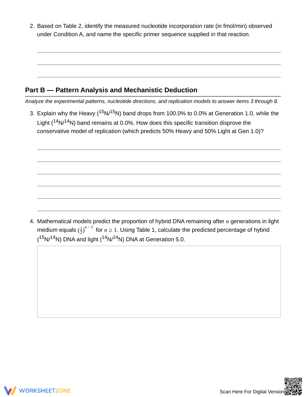 Essential Labeled-DNA Evidence Worksheet | Grade 10 Biology - Page 3