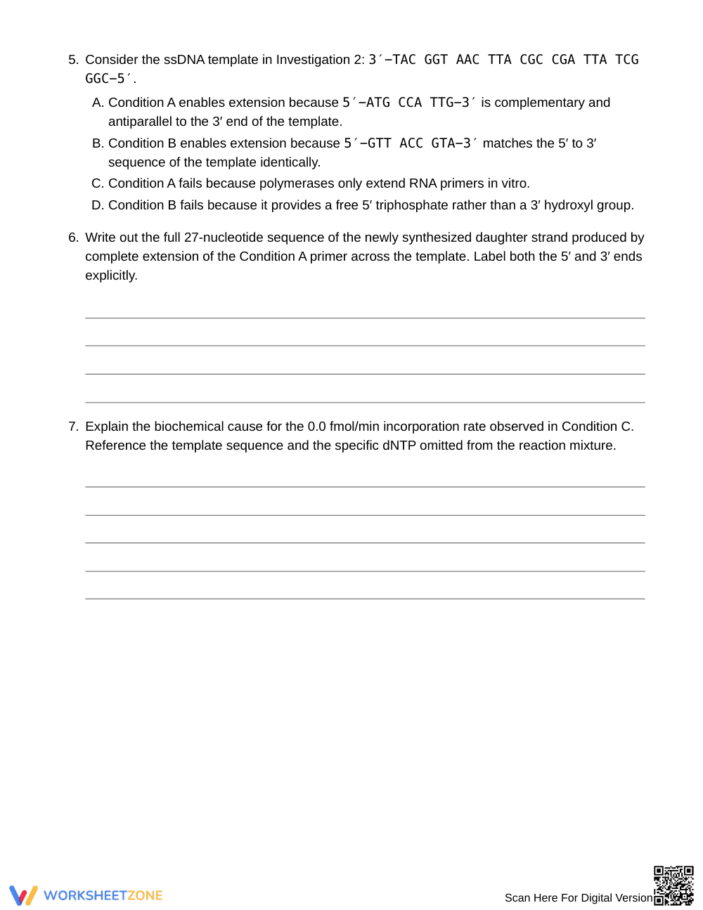Essential Labeled-DNA Evidence Worksheet | Grade 10 Biology - Page 4