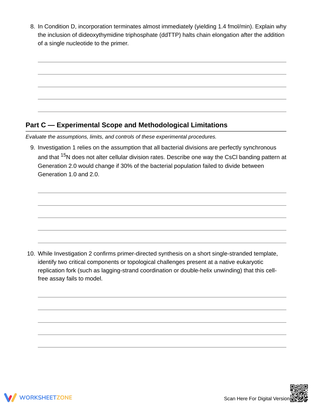 Essential Labeled-DNA Evidence Worksheet | Grade 10 Biology - Page 5