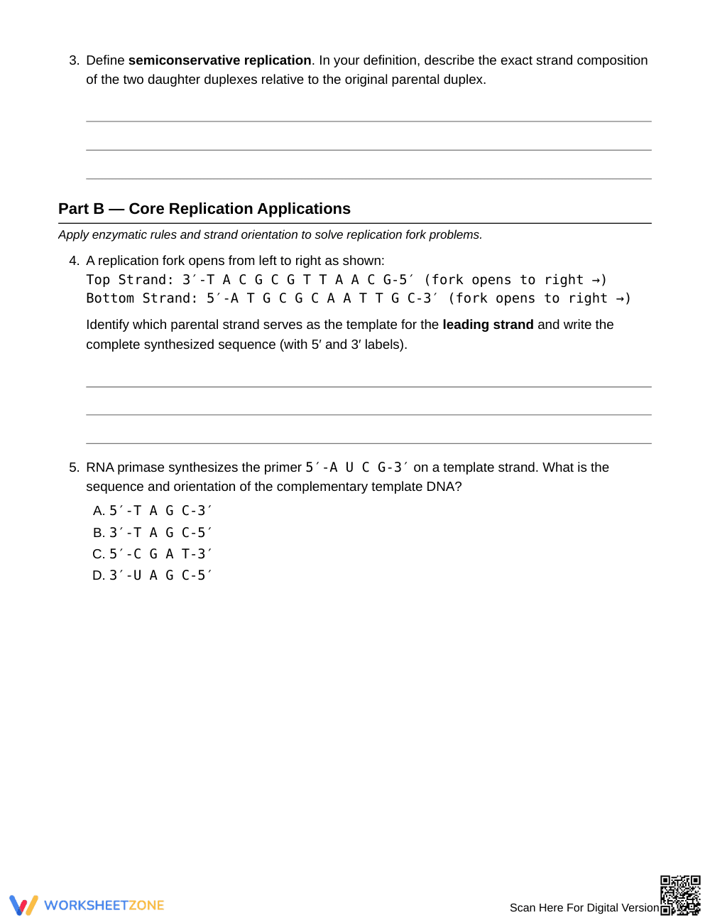 Essential DNA Replication Worksheet | Grade 10 Biology - Page 2