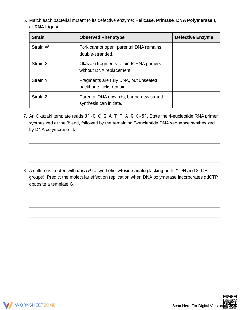 Essential DNA Replication Worksheet | Grade 10 Biology - Page 3