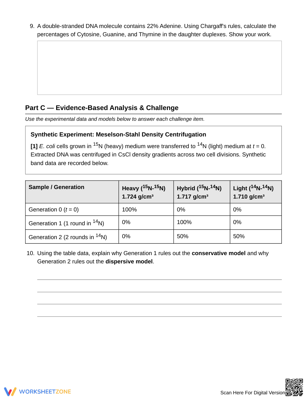 Essential DNA Replication Worksheet | Grade 10 Biology - Page 4