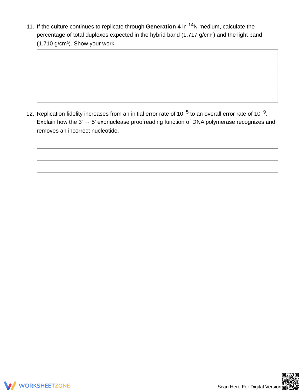 Essential DNA Replication Worksheet | Grade 10 Biology - Page 5