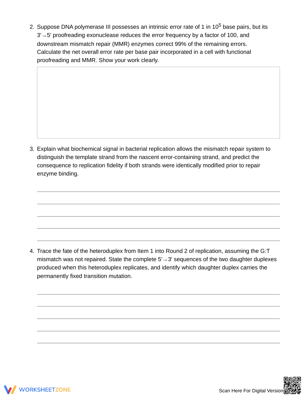 Complete DNA Replication Error Worksheet | Grade 10 Biology - Page 2