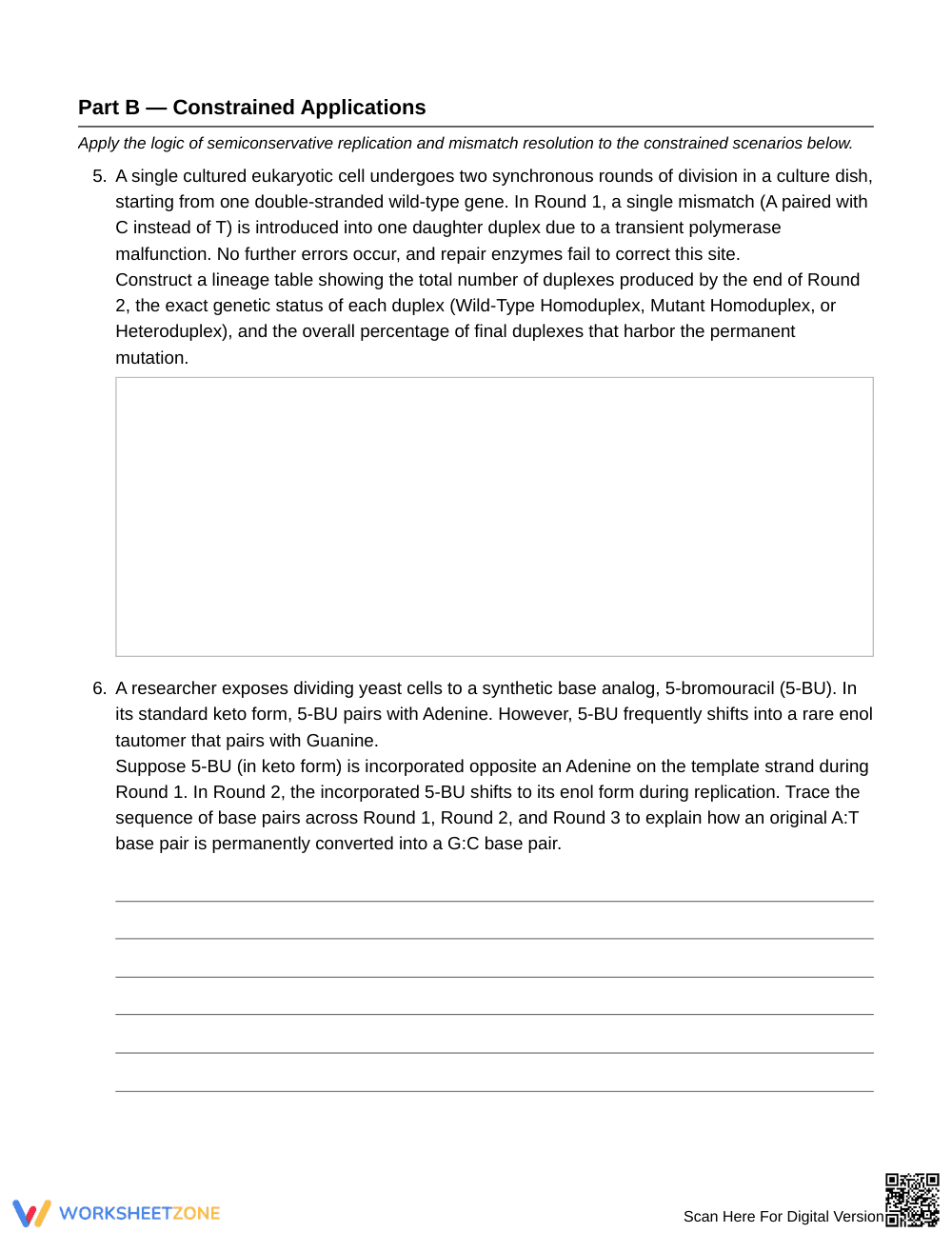 Complete DNA Replication Error Worksheet | Grade 10 Biology - Page 3