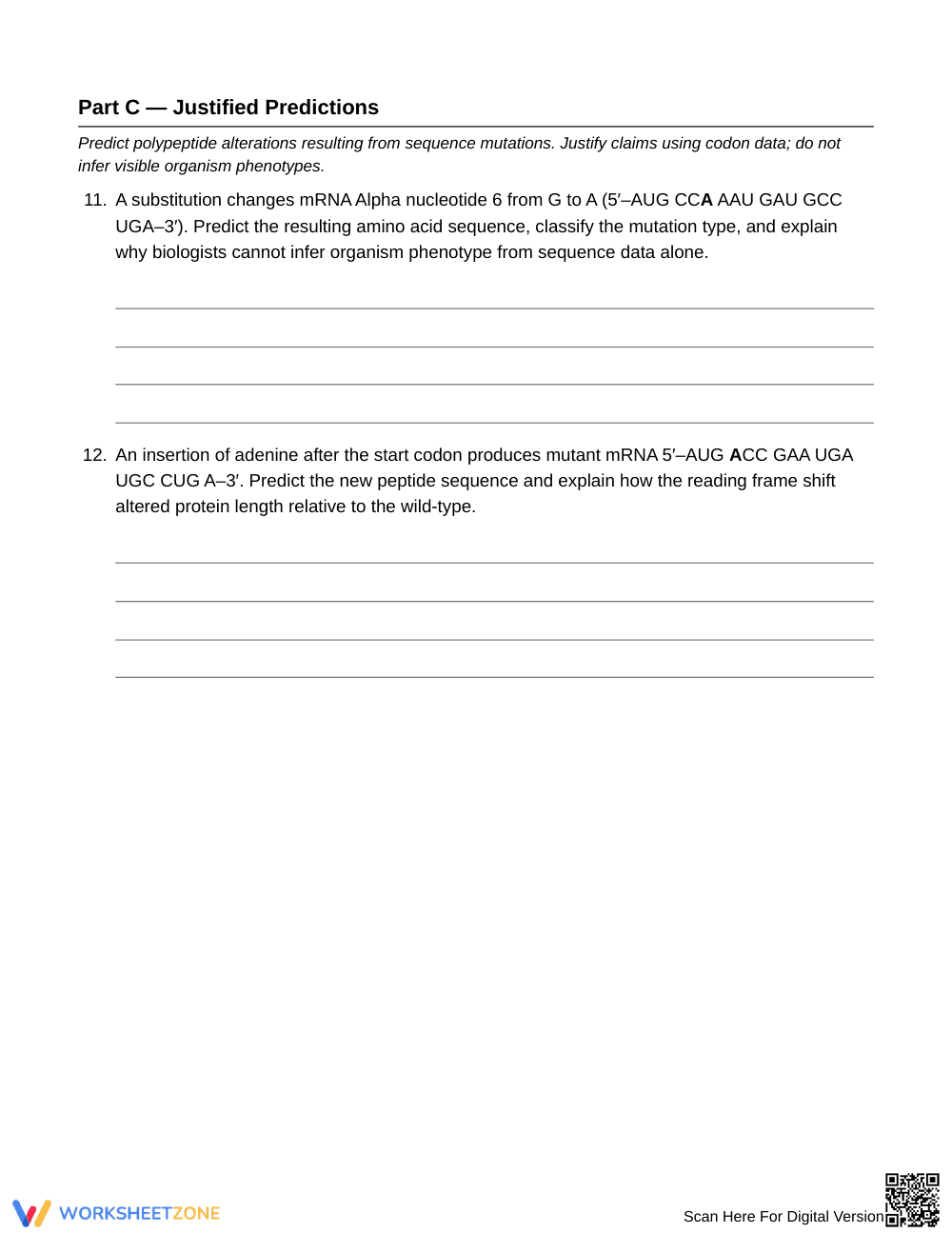 Complete Protein Synthesis Worksheet | Grade 10 Biology - Page 5