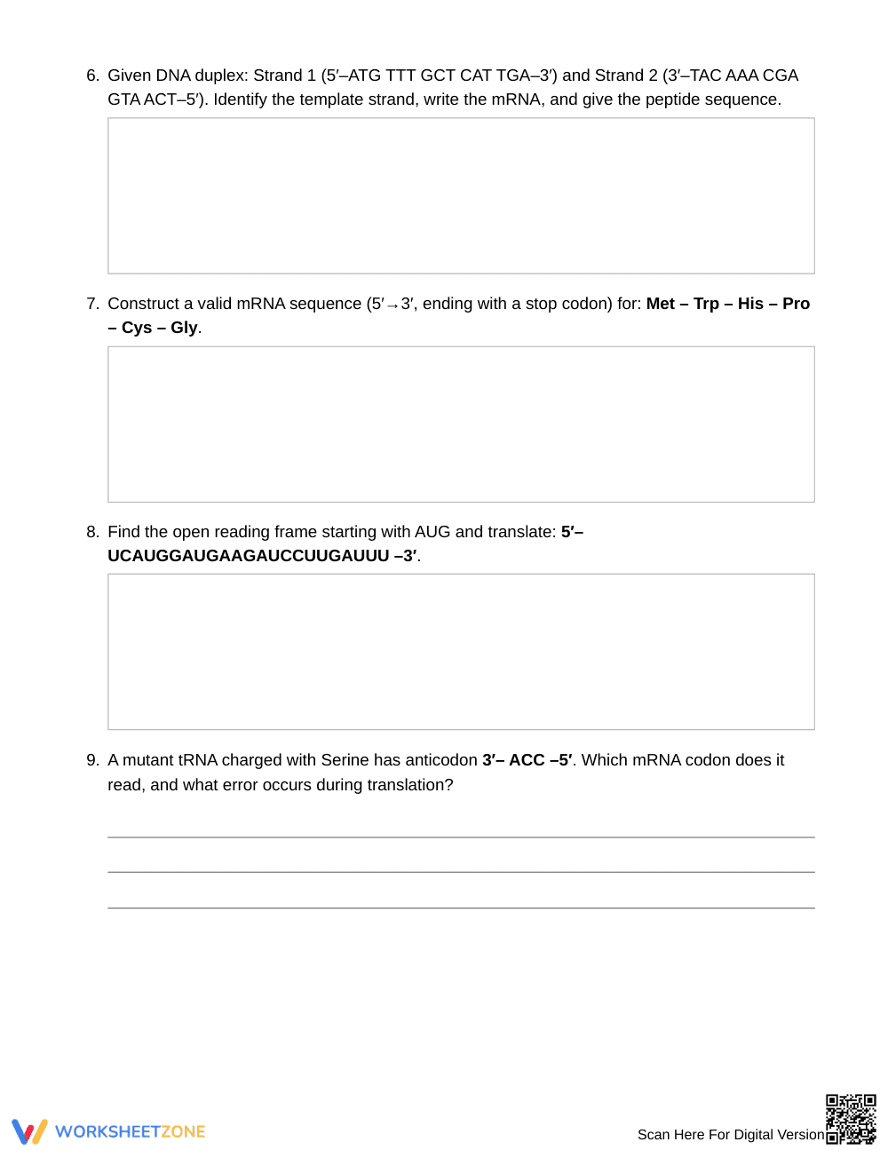 Complete Codon Translation Worksheet | Grade 10 Biology - Page 3