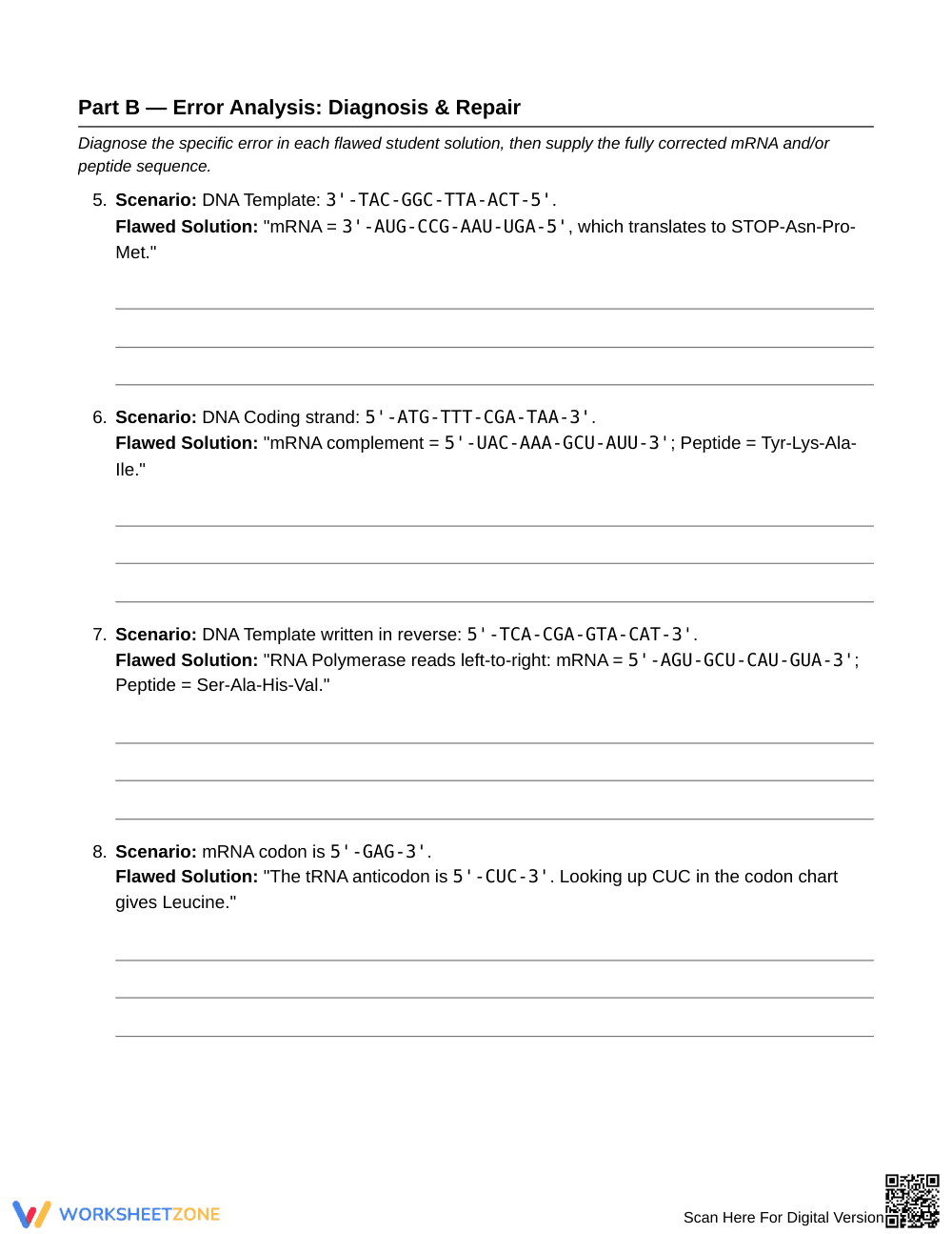 Complete Protein Synthesis Worksheet | Grade 10 Biology - Page 3